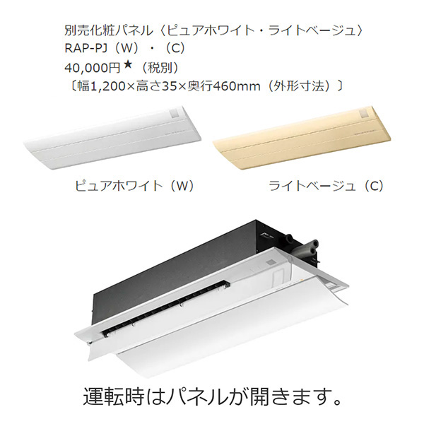 RAP-K28J2