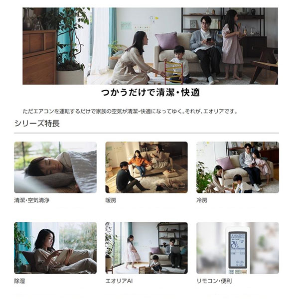 CS-633DGX2-W