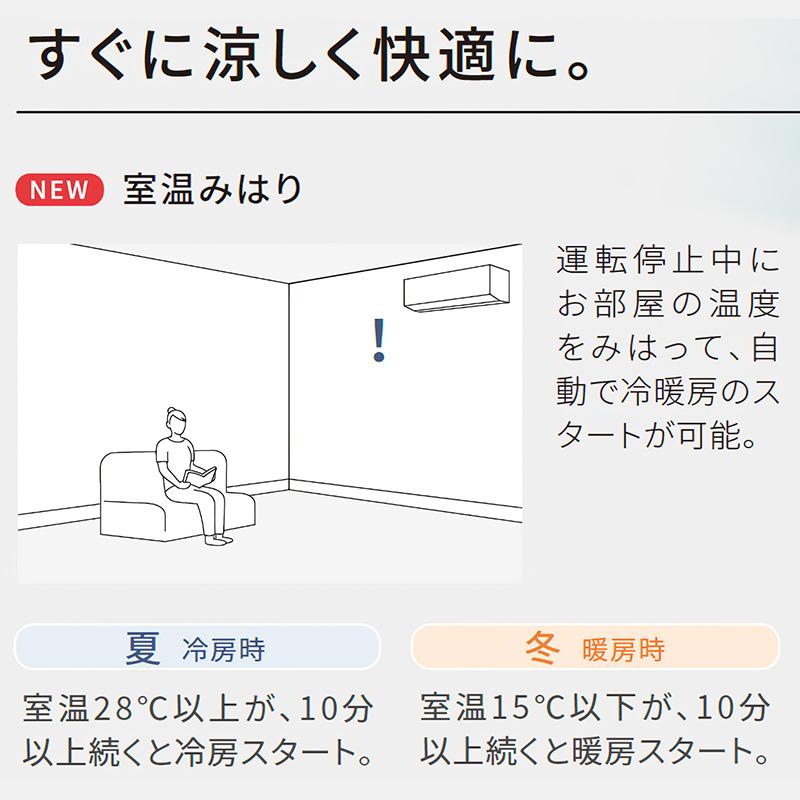 CS-285DFL-W